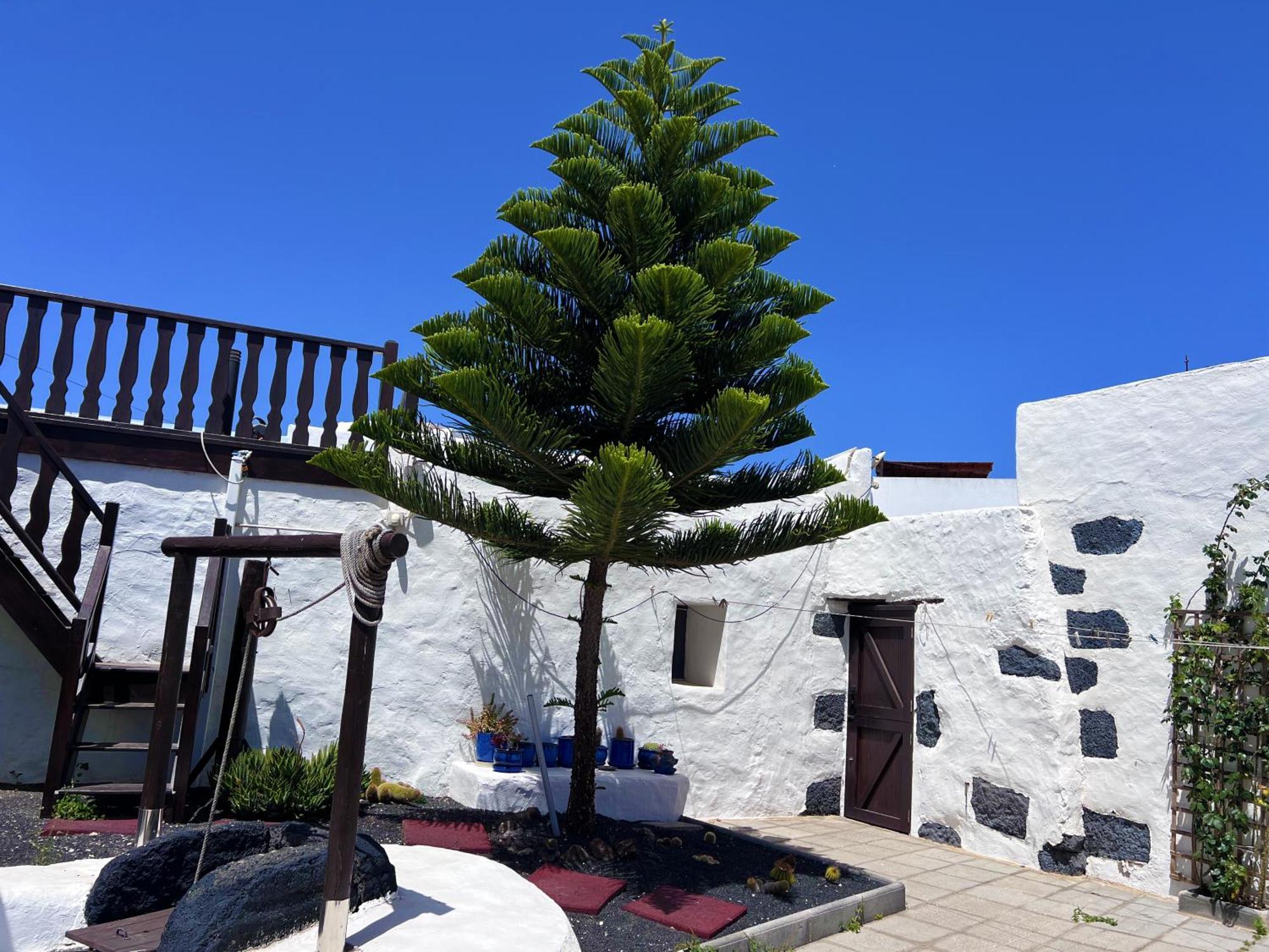 Casa Rural Estilo Canario Villa San Bartolomé Buitenkant foto