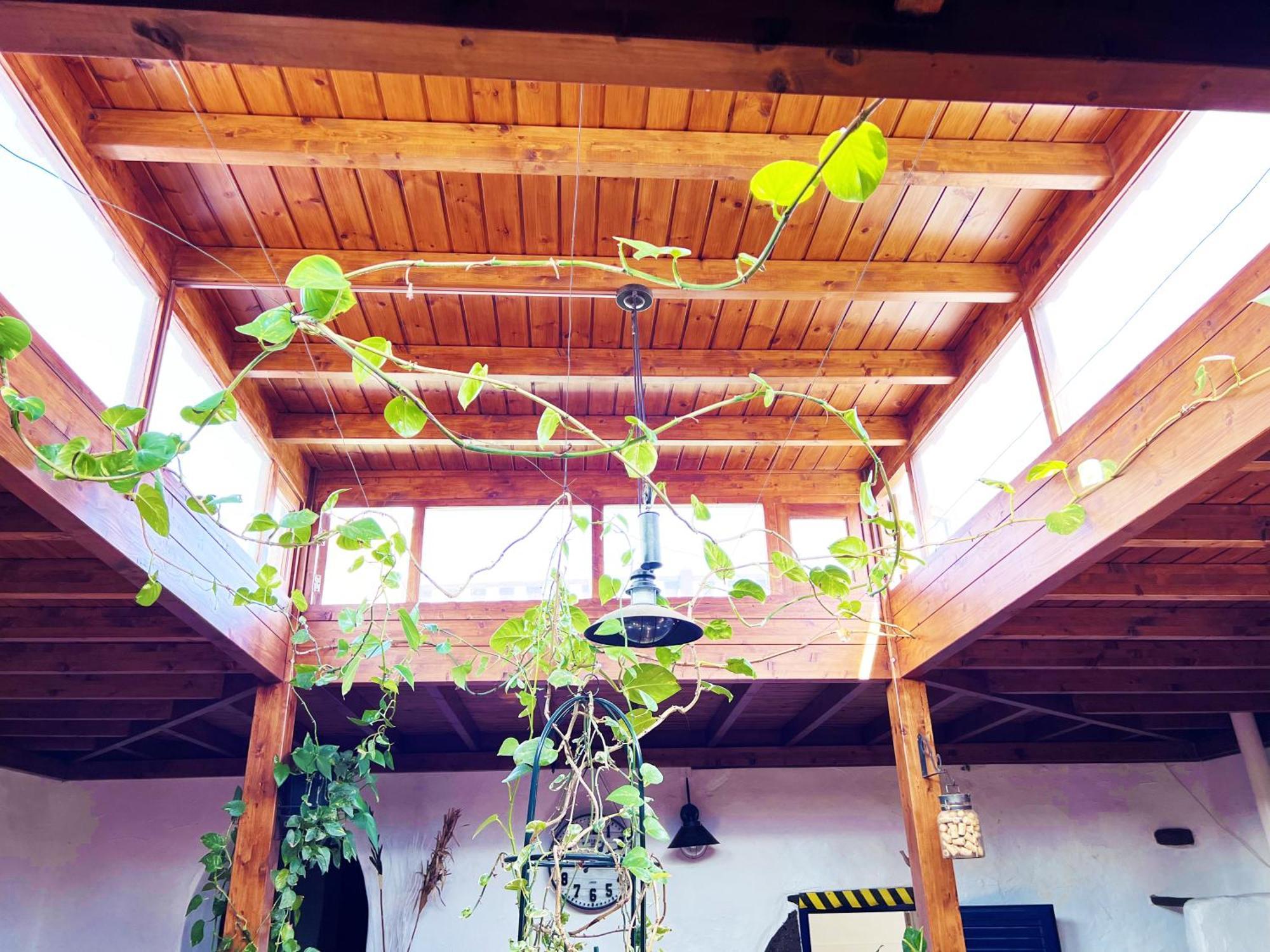 Casa Rural Estilo Canario Villa San Bartolomé Buitenkant foto